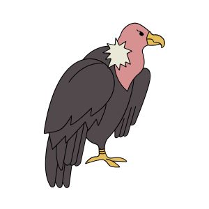 Vulture