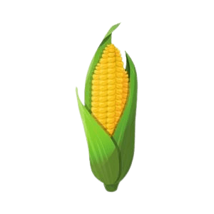 Corn
