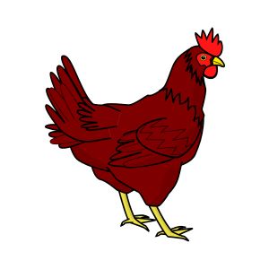Hen