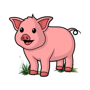 Pig