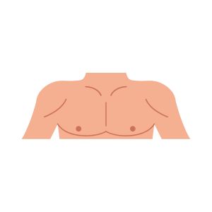 Chest