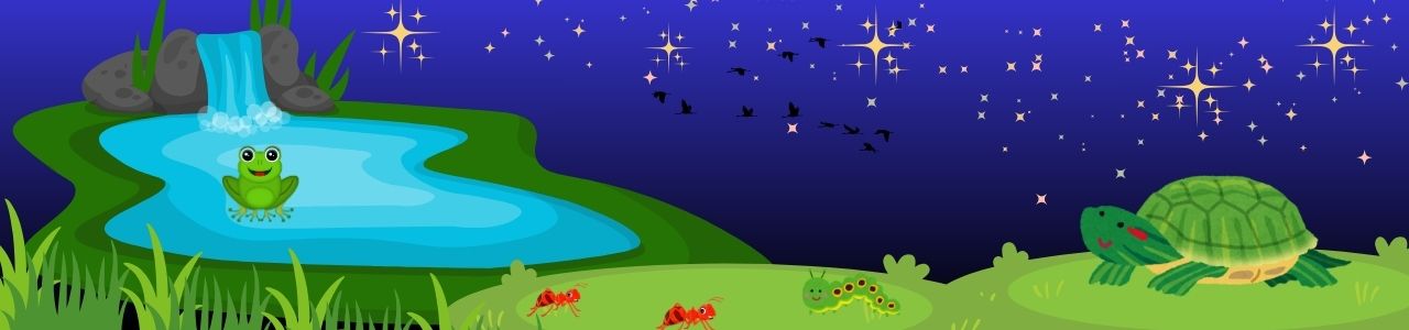 Timmy Turtle and the Star Lantern