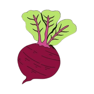 Beetroot