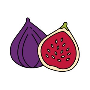 Fig