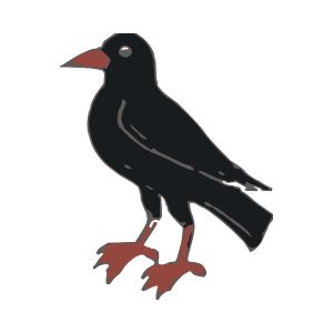Crow