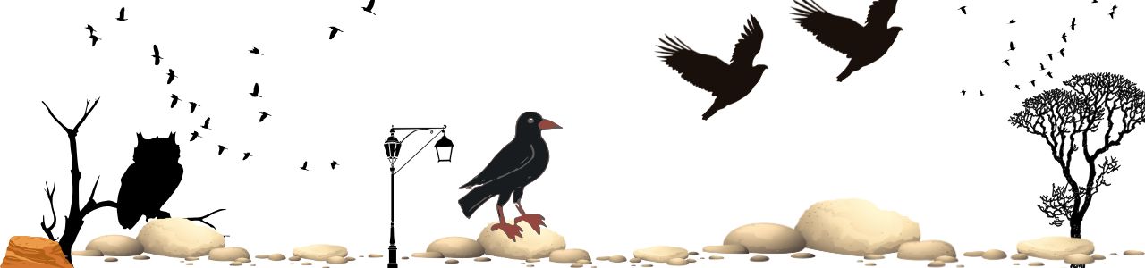 Coco Sparrow and the Cloud Pillow