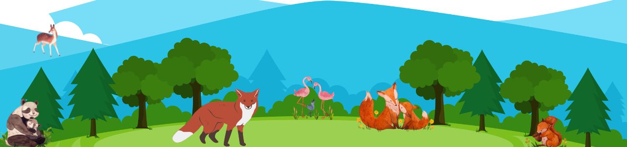 Rico Fox and the Lantern Seeds