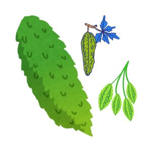 Bitter Gourd