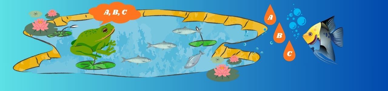 टप्पू मेंढ़क का स्कूल