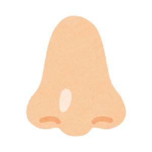 Nose